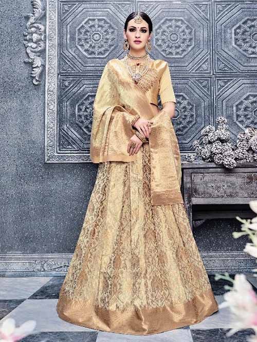BEAUTIFUL INDIAN LEHENGA CHOLI - BT-LH-R-10175