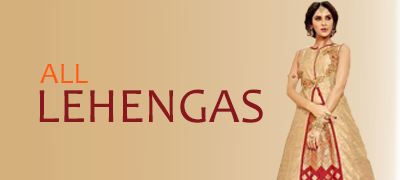 Indian Lehenga choli gagra skirt indo western